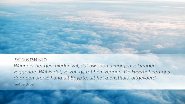 Exodus 13:14 NLD Bible Verse Image