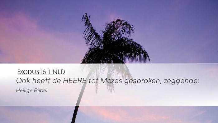 Exodus 16:11 NLD Desktop Wallpaper - Ook heeft de HEERE tot Mozes gesproken, - Desktop Bible Verse Wallpaper