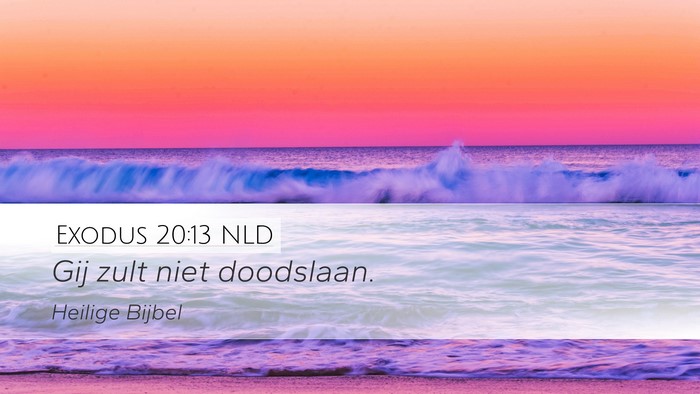 Exodus 20:13 NLD Bible Verse Image