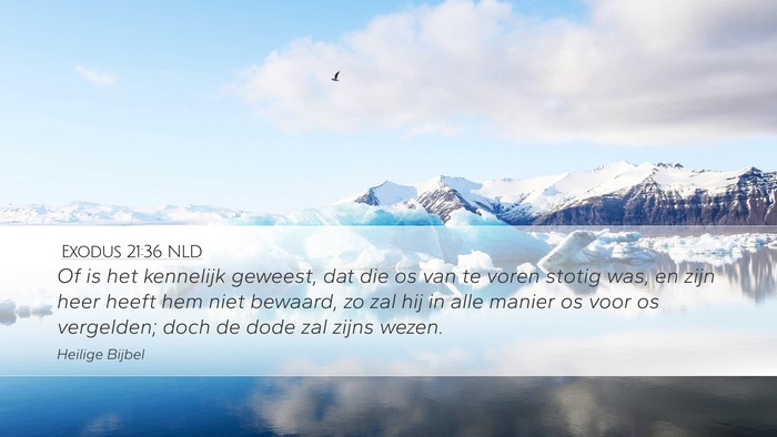 Exodus 21:36 NLD Desktop Wallpaper - Of is het kennelijk geweest, dat die os van te - Desktop Bible Verse Wallpaper