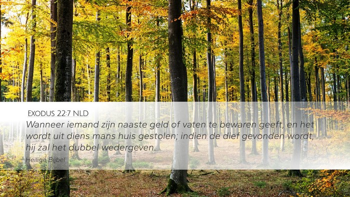 Exodus 22:7 NLD Bible Verse Image