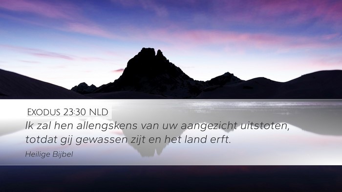 Exodus 23:30 NLD Bible Verse Image