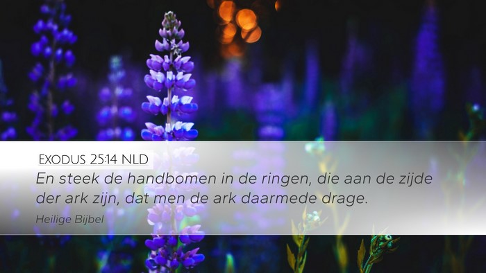 Exodus 25:14 NLD Bible Verse Image