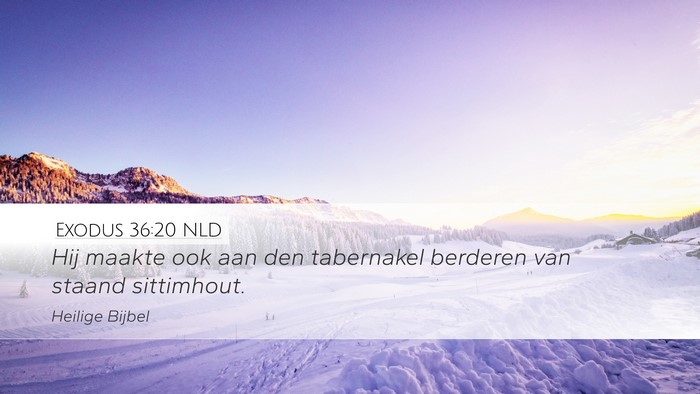 Exodus 36:20 NLD Bible Verse Image
