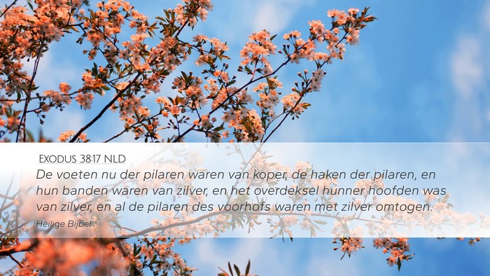 Exodus 38:17 NLD Bible Verse Image