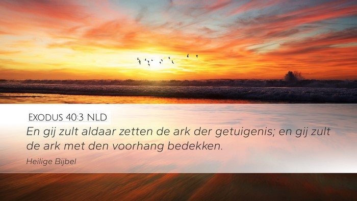 Exodus 40:3 NLD Desktop Wallpaper - En gij zult aldaar zetten de ark der getuigenis; - Desktop Bible Verse Wallpaper