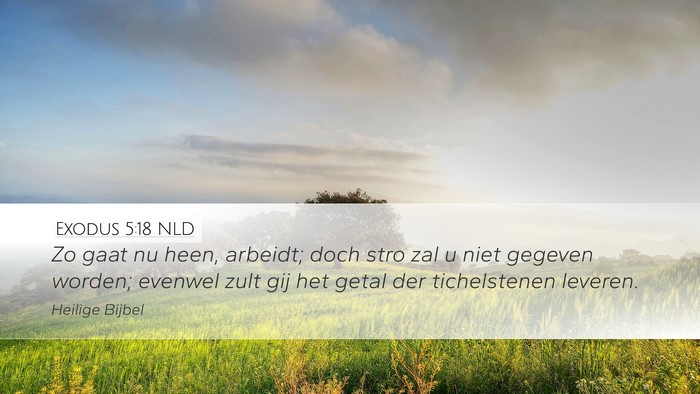 Exodus 5:18 NLD Bible Verse Image