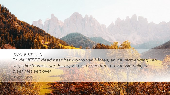 Exodus 8:31 NLD Desktop Wallpaper - En de HEERE deed naar het woord van Mozes, en de - Desktop Bible Verse Wallpaper