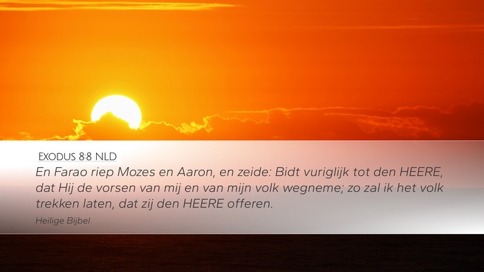 Exodus 8:8 NLD Bible Verse Image
