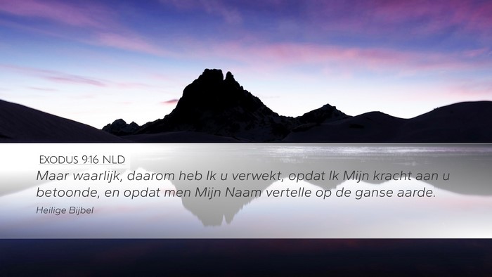 Exodus 9:16 NLD Bible Verse Image
