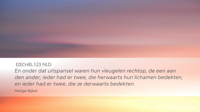 Ezechiël 1:23 NLD Desktop Wallpaper - En onder dat uitspansel waren hun vleugelen - Desktop Bible Verse Wallpaper