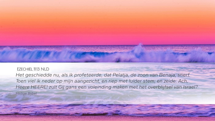 Ezechiël 11:13 NLD Bible Verse Image