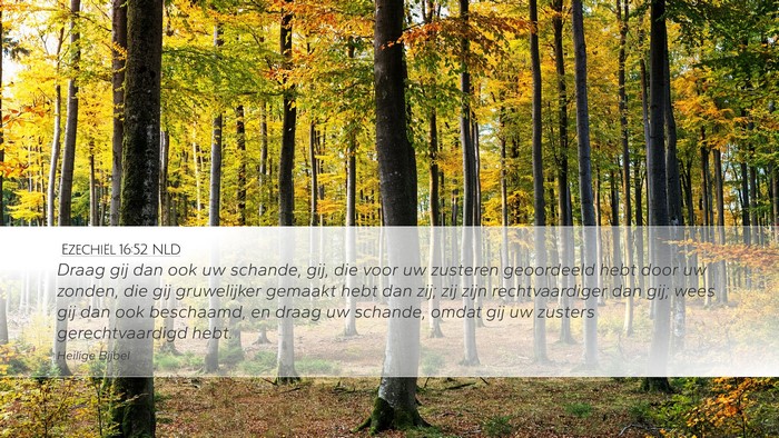 Ezechiël 16:52 NLD Bible Verse Image