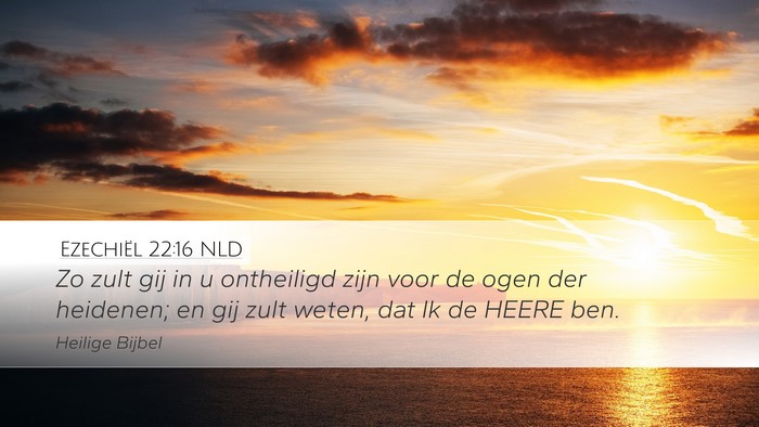 Ezechiël 22:16 NLD Desktop Wallpaper - Zo zult gij in u ontheiligd zijn voor de ogen der - Desktop Bible Verse Wallpaper