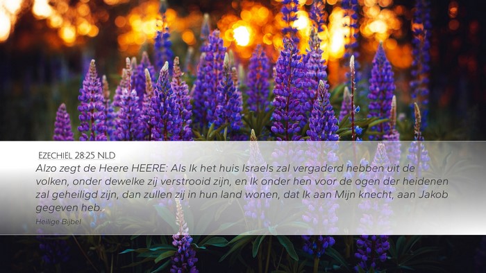 Ezechiël 28:25 NLD Bible Verse Image