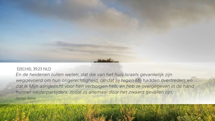 Ezechiël 39:23 NLD Bible Verse Image