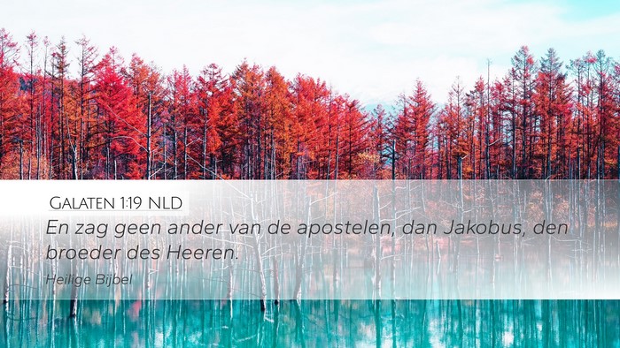 Galaten 1:19 NLD Bible Verse Image