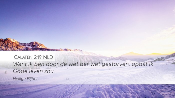 Galaten 2:19 NLD Bible Verse Image