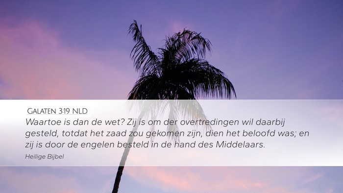 Galaten 3:19 NLD Bible Verse Image