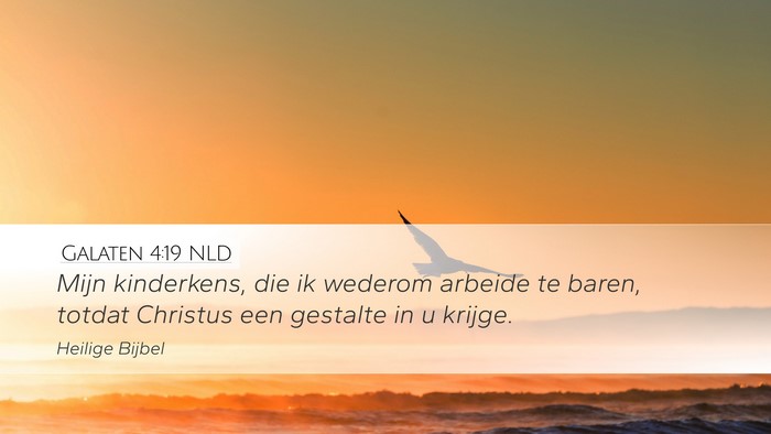 Galaten 4:19 NLD Bible Verse Image