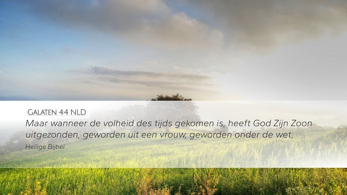 Galaten 4:4 NLD Bible Verse Image