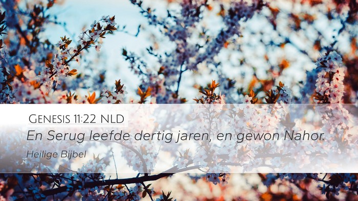 Genesis 11:22 NLD Desktop Wallpaper - En Serug leefde dertig jaren, en gewon - Desktop Bible Verse Wallpaper