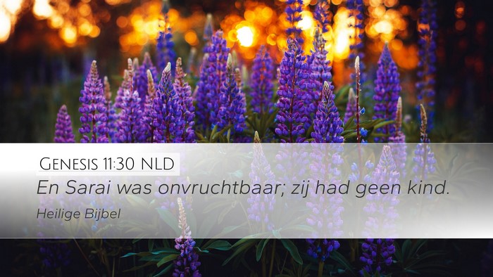 Genesis 11:30 NLD Bible Verse Image