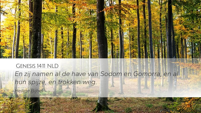 Genesis 14:11 NLD Desktop Wallpaper - En zij namen al de have van Sodom en Gomorra, en - Desktop Bible Verse Wallpaper