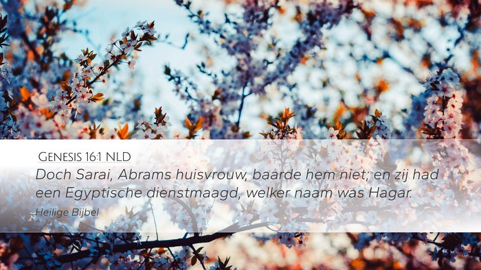 Genesis 16:1 NLD Desktop Wallpaper - Doch Sarai, Abrams huisvrouw, baarde hem niet; en - Desktop Bible Verse Wallpaper