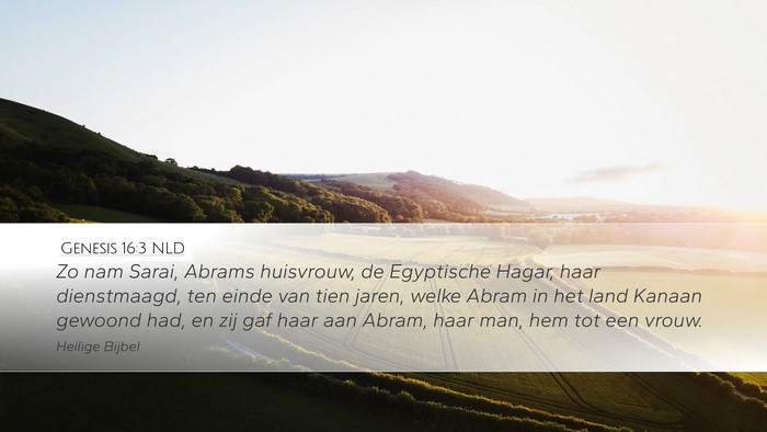 Genesis 16:3 NLD Bible Verse Image