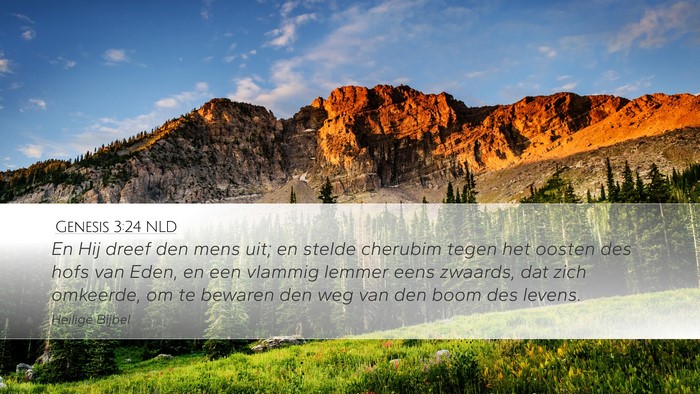 Genesis 3:24 NLD Bible Verse Image