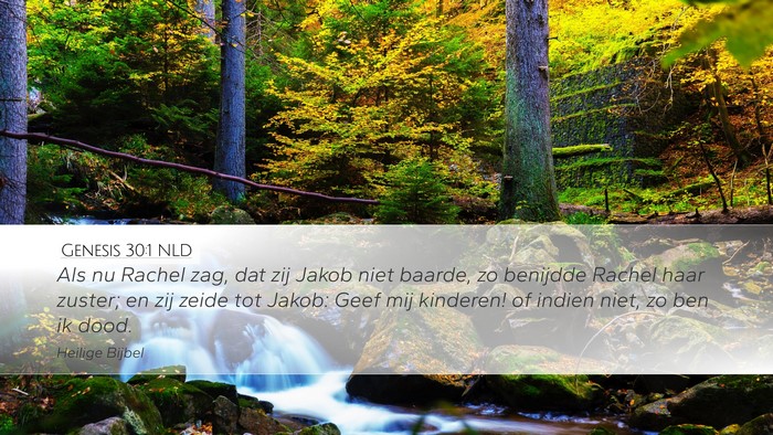 Genesis 30:1 NLD Desktop Wallpaper - Als nu Rachel zag, dat zij Jakob niet baarde, zo - Desktop Bible Verse Wallpaper