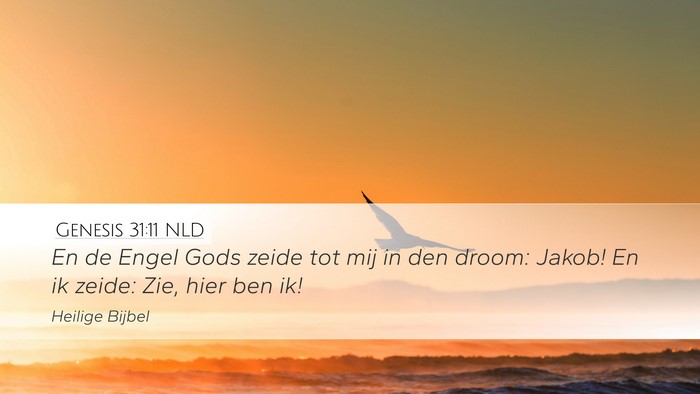 Genesis 31:11 NLD Bible Verse Image