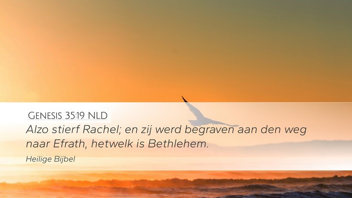 Genesis 35:19 NLD Bible Verse Image