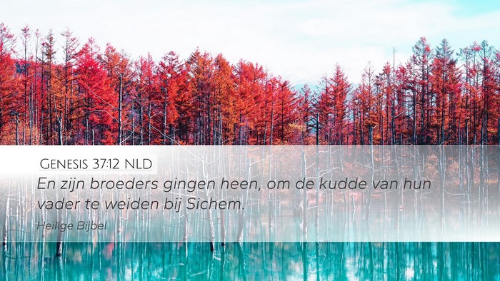 Genesis 37:12 NLD Bible Verse Image