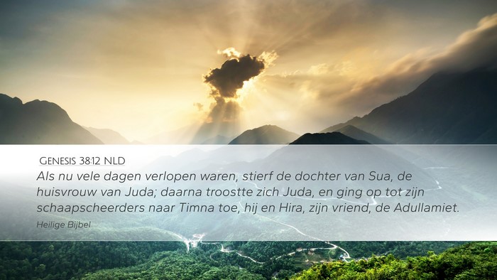 Genesis 38:12 NLD Bible Verse Image