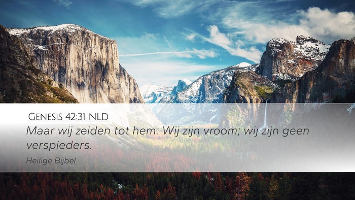 Genesis 42:31 NLD Bible Verse Image