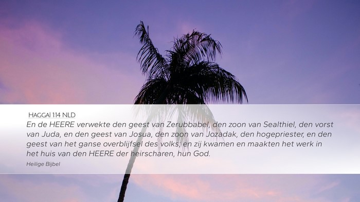 Haggaï 1:14 NLD Bible Verse Image