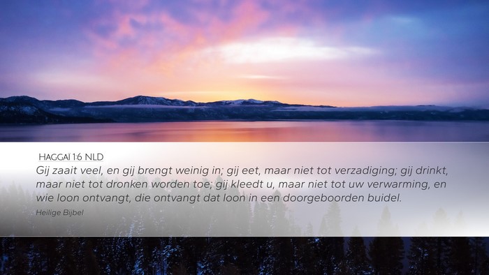 Haggaï 1:6 NLD Bible Verse Image