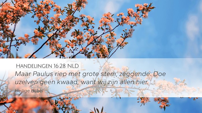 Handelingen 16:28 NLD Desktop Wallpaper - Maar Paulus riep met grote stem, zeggende: Doe - Desktop Bible Verse Wallpaper
