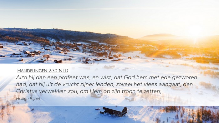 Handelingen 2:30 NLD Bible Verse Image