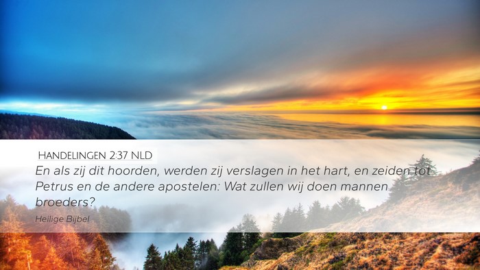 Handelingen 2:37 NLD Bible Verse Image