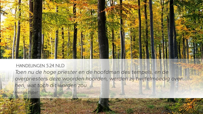 Handelingen 5:24 NLD Bible Verse Image