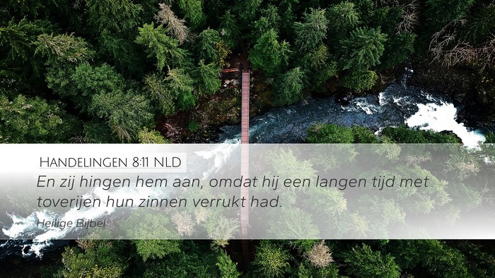 Handelingen 8:11 NLD Bible Verse Image