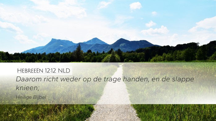 Hebreeën 12:12 NLD Bible Verse Image