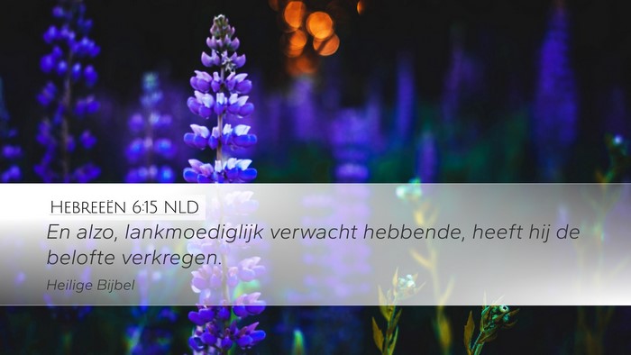 Hebreeën 6:15 NLD Bible Verse Image