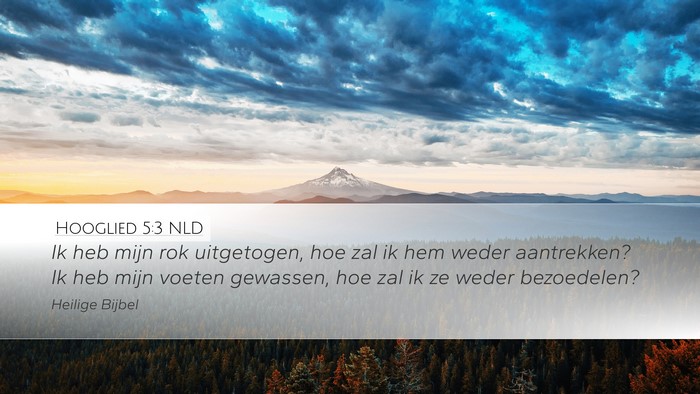 Hooglied 5:3 NLD Desktop Wallpaper - Ik heb mijn rok uitgetogen, hoe zal ik hem weder - Desktop Bible Verse Wallpaper
