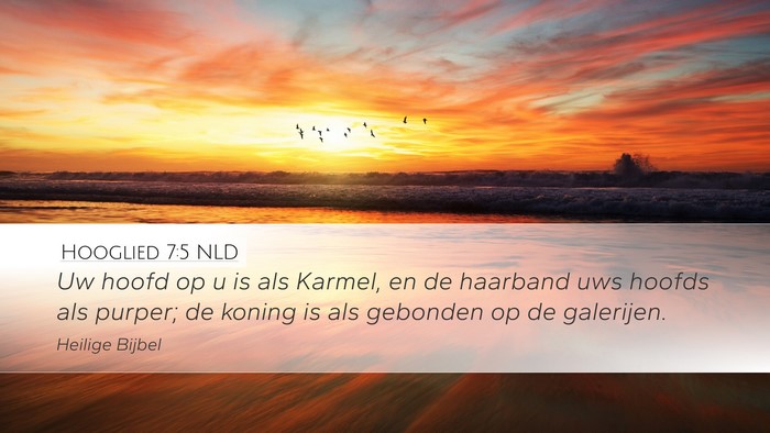 Hooglied 7:5 NLD Bible Verse Image