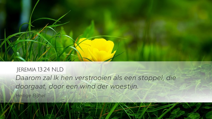 Jeremia 13:24 NLD Bible Verse Image