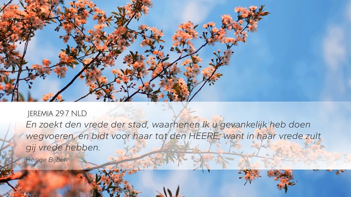 Jeremia 29:7 NLD Bible Verse Image